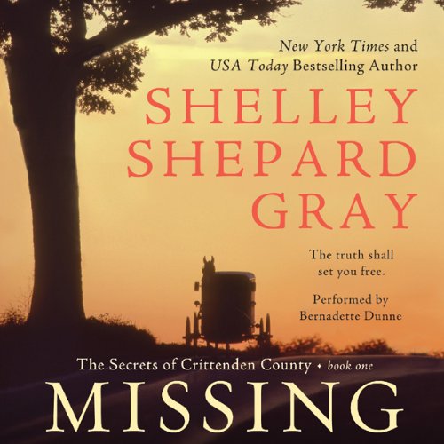 Cover art for Missing