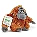 Imagen de Zappi Co Peluche de Orangután 100% Reciclado  Colección de Animales Suaves