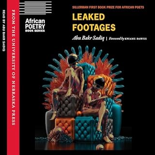 Leaked Footages cover art