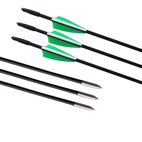 Gpp Archery Beginner's First Arrows (30" Fiberglass Target Archery Arrows) - 12 Pack,Green #TOP5