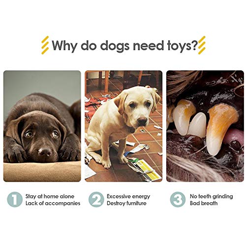 Brinquedos de cachorro Blusea Squeaky, brinquedo de mastigar para cães e limpeza de dentes, brinqued