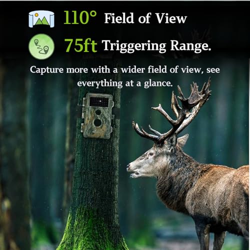 BlazeVideo 48MP Wildkamera Nachtsichtkamera Wildtier Kamera mit 1296P H.264 MPV Video...