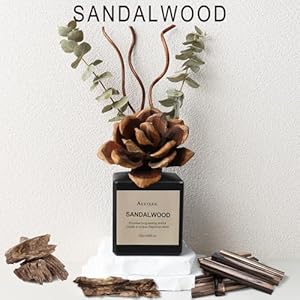Reed diffuser set sandalwood cedarwood scented oil with dried flowers 609 fl oz180ml long lasting air freshener with diffuser sticks home fragrance for bathroom decor  urban country home decor