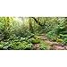 AWERT Fond de terrarium 180 x 46 cm pour aquarium tropical, grand arbre vert, ensoleillé, pierre, chemin, forêt tropicale, reptiles et habitat en vinyle durable (non autocollant)