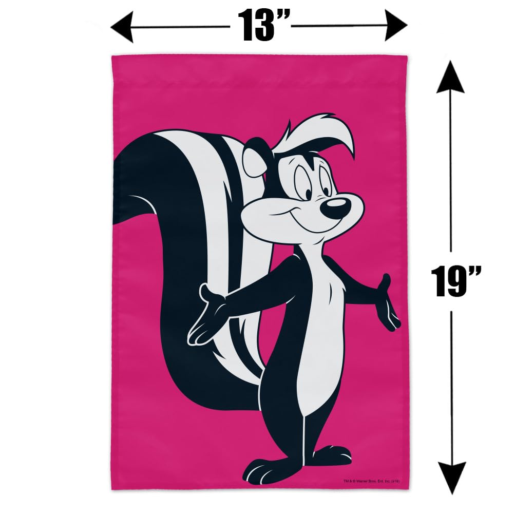 限定 貴重 ルーニーテューンズ ペペルピュー ペネロペ アニメーションフレーム 限定 貴重 サイン入り Looney Tunes ルーニー・テューンズ ペペ