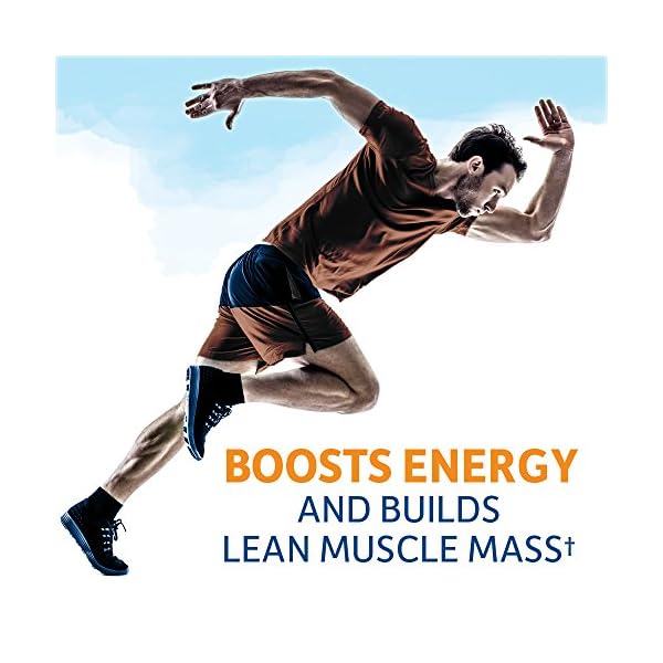 Garden of Life Raw Organic Fit Vegan Protein Powder Chocolate, 28g Plant Based Protein for Weight Management, Pea Protein Fiber Probiotics, Dairy Free Nutritional Shake for Women and Men, 20 Servings