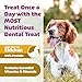 Yummy Combs Dog Dental Treats – Vet VOHC Approved, Removes Tartar & Cleans Teeth – Yummy High Protein Chicken Treat for Extra Small Dogs (Mini Pack, 30 Count)