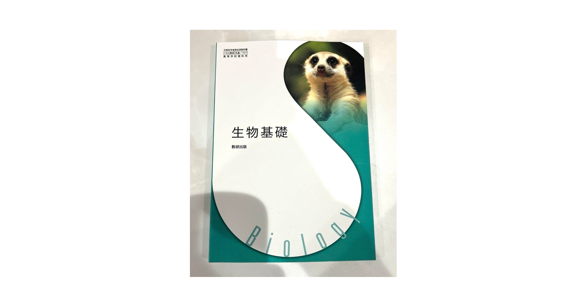 513i8Sok3JL.jpg_BO30,255,255,