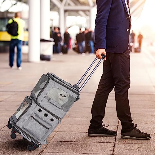 FASNATI Großer Katzentransportbox für 2 Katzen bis 12kg, Katzentransporttasche für 2 Katzen mit Abnehmbare Rollen, Faltbar Transportboxen für 2 kleine Hunde, Grau, XL