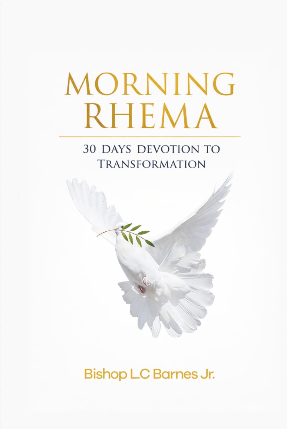 MORNING RHEMA 1: 30 DAYS DEVOTION TO TRANSFORMATION
