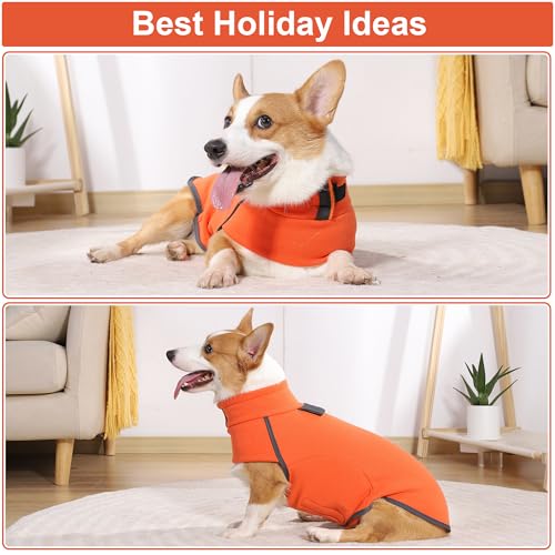 Pijama suave para perro Leberna idóneo para senderismo viajes y caminar en invierno 6