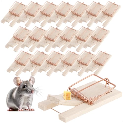 COM-FOUR® Piège à Souris en Bois 20x - Piège à Ressort pour Une Lutte Efficace Contre Les nuisibles - Piège à Ressort réutilisable avec Une Force d'impact élevée (Piège à Souris 20 pièces)