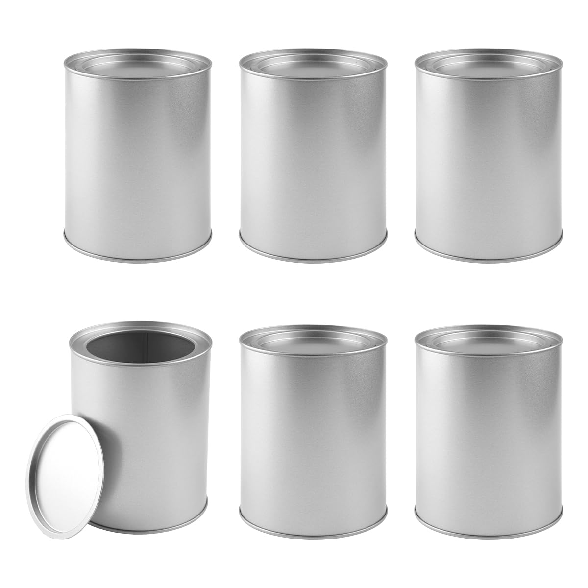 Lotsdonxia 6 Pack 1L Tinplate Paint Cans with Lids, Silver Empty Multipurpose Storage Tins for DIY Crafts & Garage