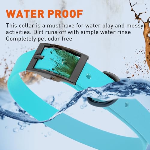Image of Dogline Biothane Waterproof Dog Collar Strong Coated Nylon Webbing with Black Hardware Odor- Proof for Easy Care Easy to Clean High Performance Fits Small Medium or Large Dogs, Sky Blue