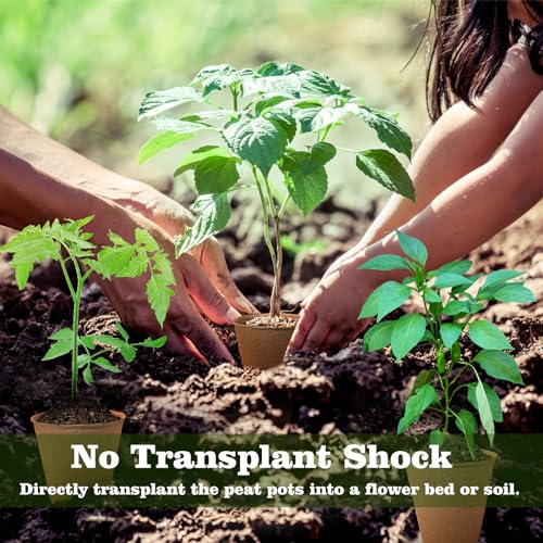 Biodegradable-Peat-Pots-for-Seedling-120-Pack-315-inch-Biodegradable-Plant-Seed-Starters-Kits-with-30-Plant-Labels-Garden-Germination-Nursery-Pots-for-Flower-Vegetable-Seed-Germination