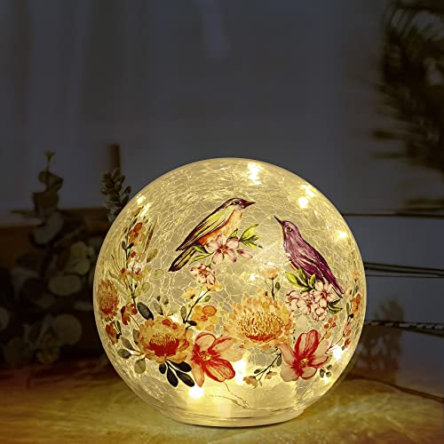 Jbgypbl Birds Colorful Flowers Crackle Lamp Gazing Ball Light Glass Shade Desk Lamp Nightstand Lamps Orbs Decorative Balls Battery Operated Lights For Garden Home Office Stairway Party (5.51 Inch) #TOP2