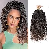 Sosihua Goddess locs crochet hair, 9 packs soft boho faux locs with curly ends bohemian crochet dreads for black women(14Inch,#T30)