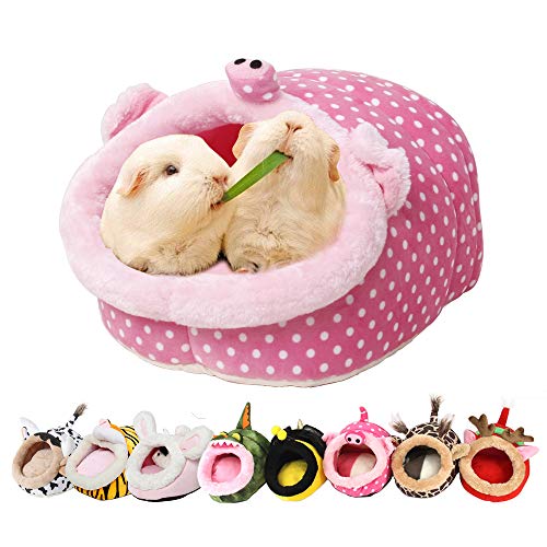 Best Guinea Pig Bed Reviewed (2023) Buyer's Guide