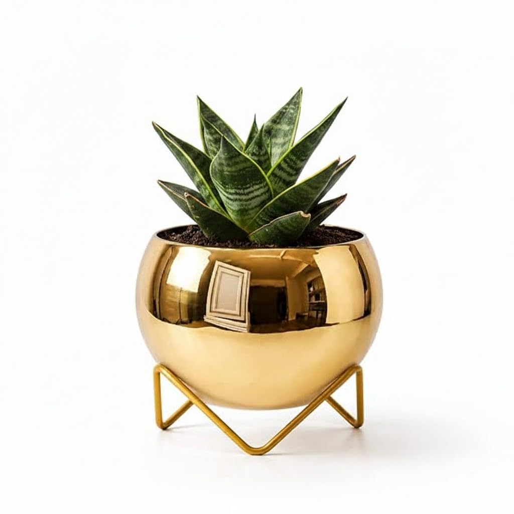 Metal Planter Pot with Stand, Gold, Round, 14 CM x 14.5 CM, for Living Room, Office, Bedroom & Gifting-image-3