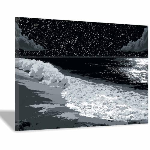 Poster noir et blanc plages de nuit étoilée toile decoration murale 40x60