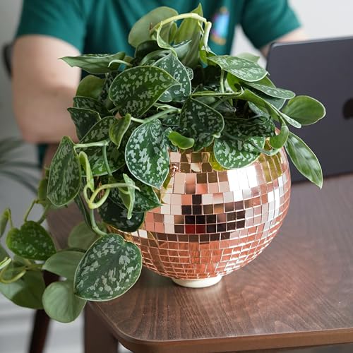 Bubblegum Stuff Rose Gold Disco Ball Hanging Planter thumb #3