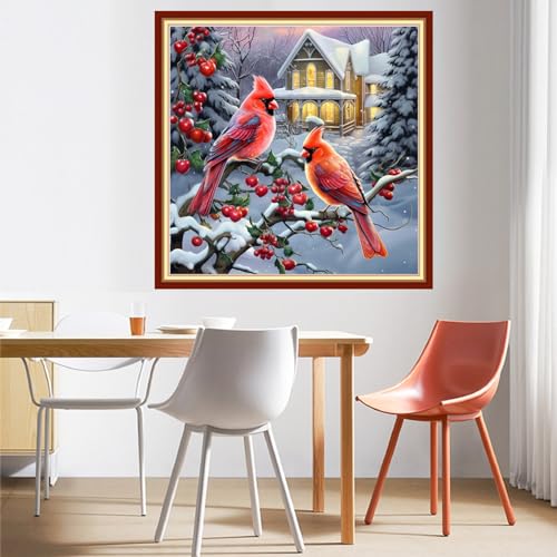 Image of DMCVIVR Stamped Cross Stitch Kits for Beginners Adults Needlepoint Kits for Beginners Embroidery Kits for Adults Crossstitch Kit for Beginners 11CT-Two parrotbirds 18x18 inchs