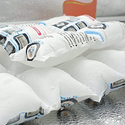 Image of Shipping Cold Pack Ice Pack Sheets for Coolers Reusable, Dry Ice Packs Freezer Packs for Shipping Food, Flexible Ice Blankets Frozen Gel Packs Keep Food Fresh Beverage Cold, 13.3 inchx6.5 inch /Sheet 50 Sheets