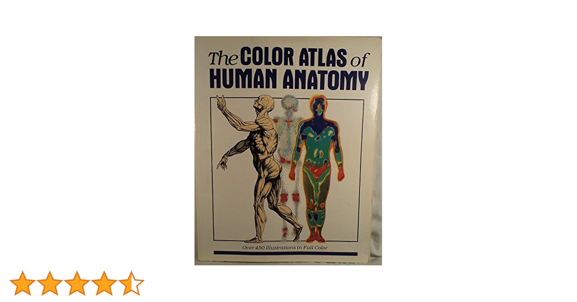 洋書 A Colour Atlas of Human Anatomy A Colour Atlas of Human Anatomy: Amazon.co.uk: R. M. H.