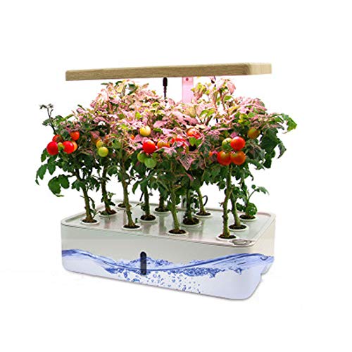 Creativem Hydroponics Growing System with Lights, Smart Indoor Garden Kit Adjustable Height Smart Garden for Plant Growing 4L Hydroponic Planter for Home Kitchen Gardening
