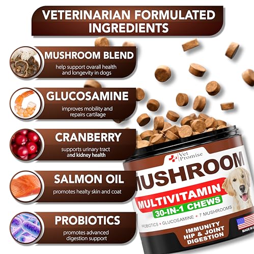 Image of Dog Mushroom Supplement with Reishi, Turkey Tail & Lion's Mane - Helps with Immunity, Digestion & Energy - Natural Ingredients - USA Made