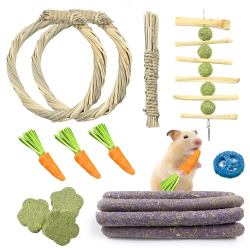 Yoirzit Dientes de Molienda de Juguete Natural, 14 Piezas Juguetes para Masticar Conejos Dientes de Molienda Juguete de Masticar Bambú Dulce Molar Juguetes para Conejos, Chinchillas,Hámsters, Cobayas