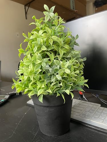 Image of Artificial Realistic Green Leaves Bonsai Potted Plant for Home Office Kitchen Living Room Hotel Restorent Table Corner Center Piece | Natural Look | Show Piece | 36 cm
