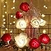 shirylzee LED Lichterkette, Rose Lichterketten mit 3M 20 LEDs Rosen Blumen Lamp Batteriebetrieben Weihnachtsbeleuchtung Atmosphäre Deko für Innen und Aussen Dekoration Hochzeit Valentinstag - Rot