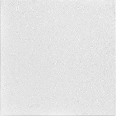 A La Maison Ceilings R22 Basic Foam Glue-up Ceiling Tile (128 sq. ft./Case), Pack of 48, Plain White