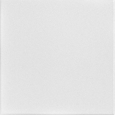 A La Maison Ceilings R22 Basic Foam Glue-up Ceiling Tile (128 sq. ft./Case), Pack of 48, Plain White Cover