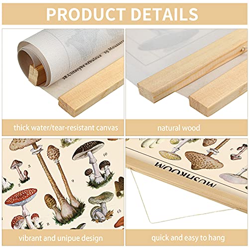 Vintage Mushroom Poster Fungus Wall Art Prints Rustic Mushroom Wall Hanging Illustrative Reference Chart Poster For Living Room Office Classroom Bedroom Dining Room Decor Frame, 15.7 X 19.7 Inches #TOP2