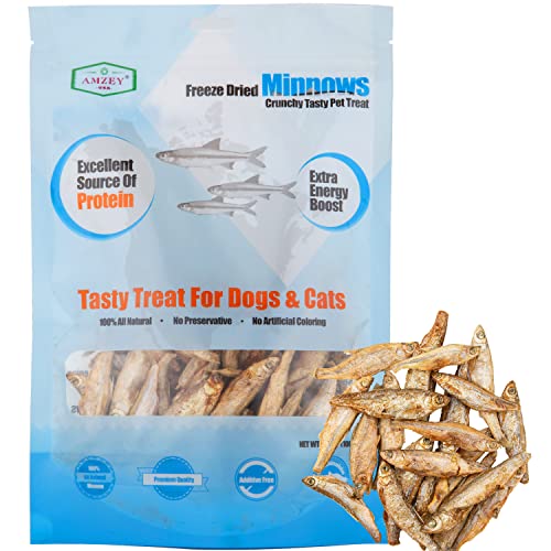 10 Best Dog Foods Safe for Cats A Buyer's Guide You Can't Miss! Furry Folly