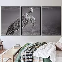 3 Piece Framed Canvas Wall Art Turtle Under The Surface Canvas Prints Home Artwork Decoration for Living Room,Bedroom - 16