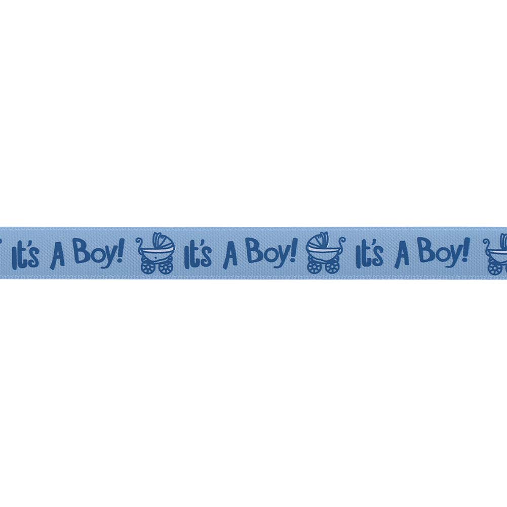 Nastro Di Raso Per Baby Shower It's A Boy/It's A Girl - 10 Yards