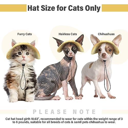 #1 Best Dentrun Cat Bucket - Premium Pet Apparel Set - Image 8