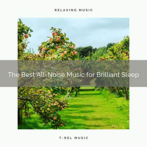 Amazon MusicでWhite Noise Baby Sleep Musicの2020 Best The Best AllNoise