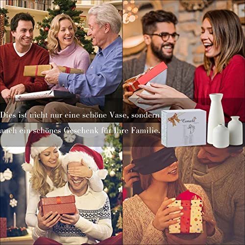 CEMABT Ceramica Vaso Set-3 Piccolo Fiore Vaso per