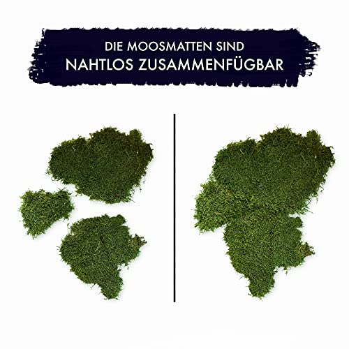Moos GJS Platten – Konservierte Moosplatten in 100g, 200g und 500g
