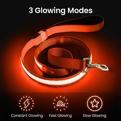 LED Hundeleine, Leuchtend Hundeleine für Kleine, Mittel Große Hunde, Wiederaufladbar & Wasserdicht, 3 Beleuchtungsmodi 5 Farben Erhältlich, Glühen im Dunkeln für Sicherheit Nachtwandern (Orange)