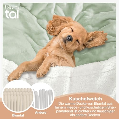Blumtal Premium Sherpa Kuscheldecke flauschig 130x150 cm - Oeko-Tex zert. Sofa Decke mit Dicker Sherpa-Innenseite - super Flauschige Decke… – Ansicht 4