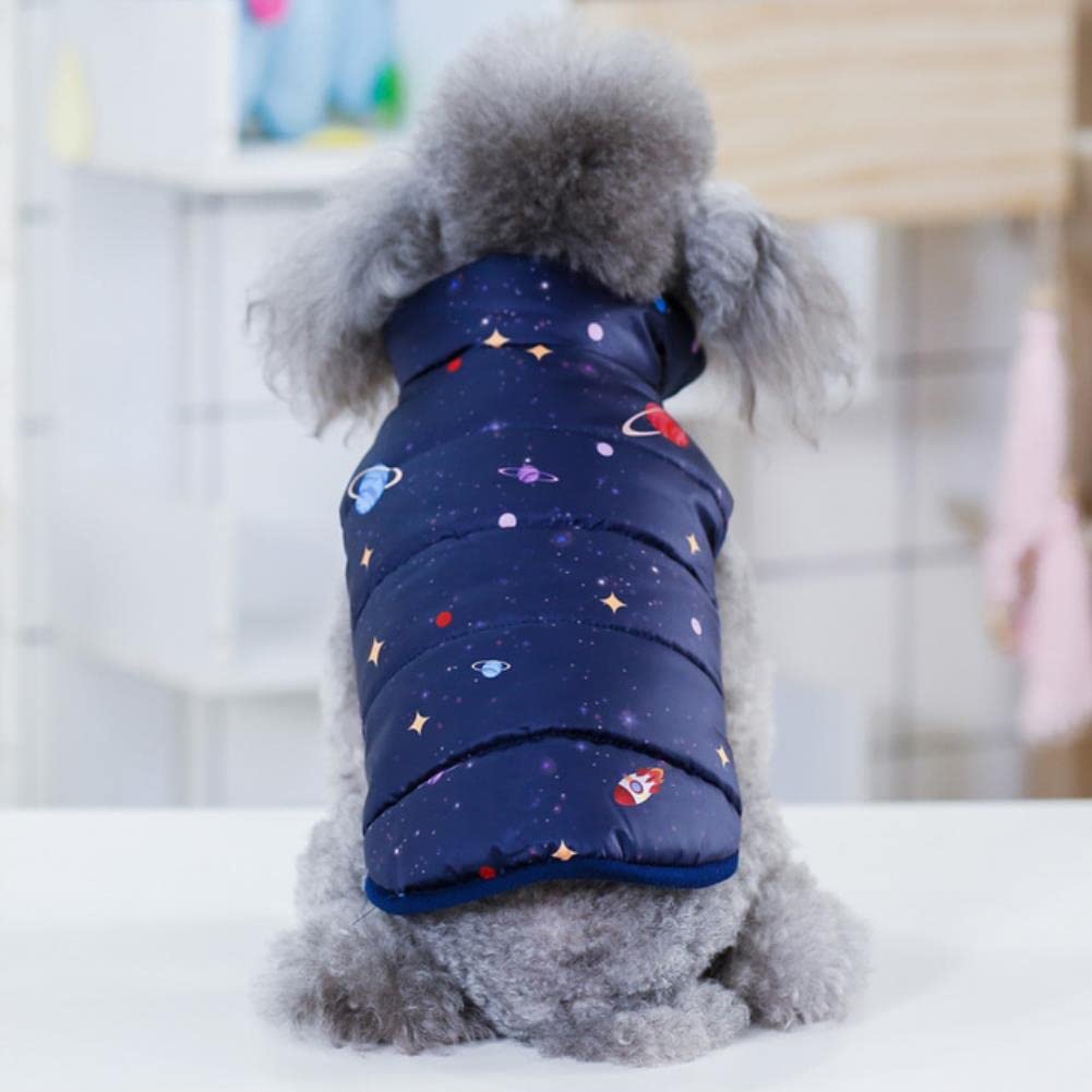 Veste pour chien contre le froid : le manteau d'hiver chaud pour Chihuahua