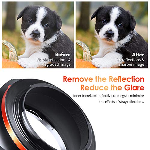 K&F Concept Adaptador de montagem de lente para lentes Canon EF EF-S para câmeras sem espelho Sony A