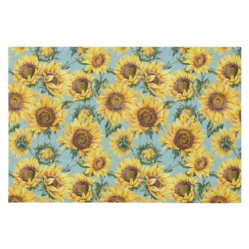 SAMAU  փ}bg  ԕ G Ђ܂蕿 ӂӂ hA}bg DƂ ~ O Ɩp ItBXp ƒp 唻 60*90CM