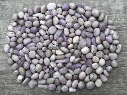 Image of GAF TREASURES 1 /2 LB Kunzite Tumbled Stones, Polished Natural Kunzite Gemstone, Kunzite Healing Crystals (Kunzite)
