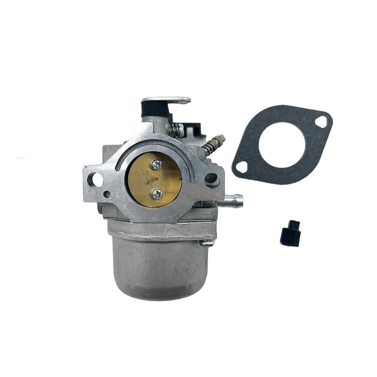 Carburateur pour Briggs & Stratton 498231 afin d'entretenir facilement le jardin